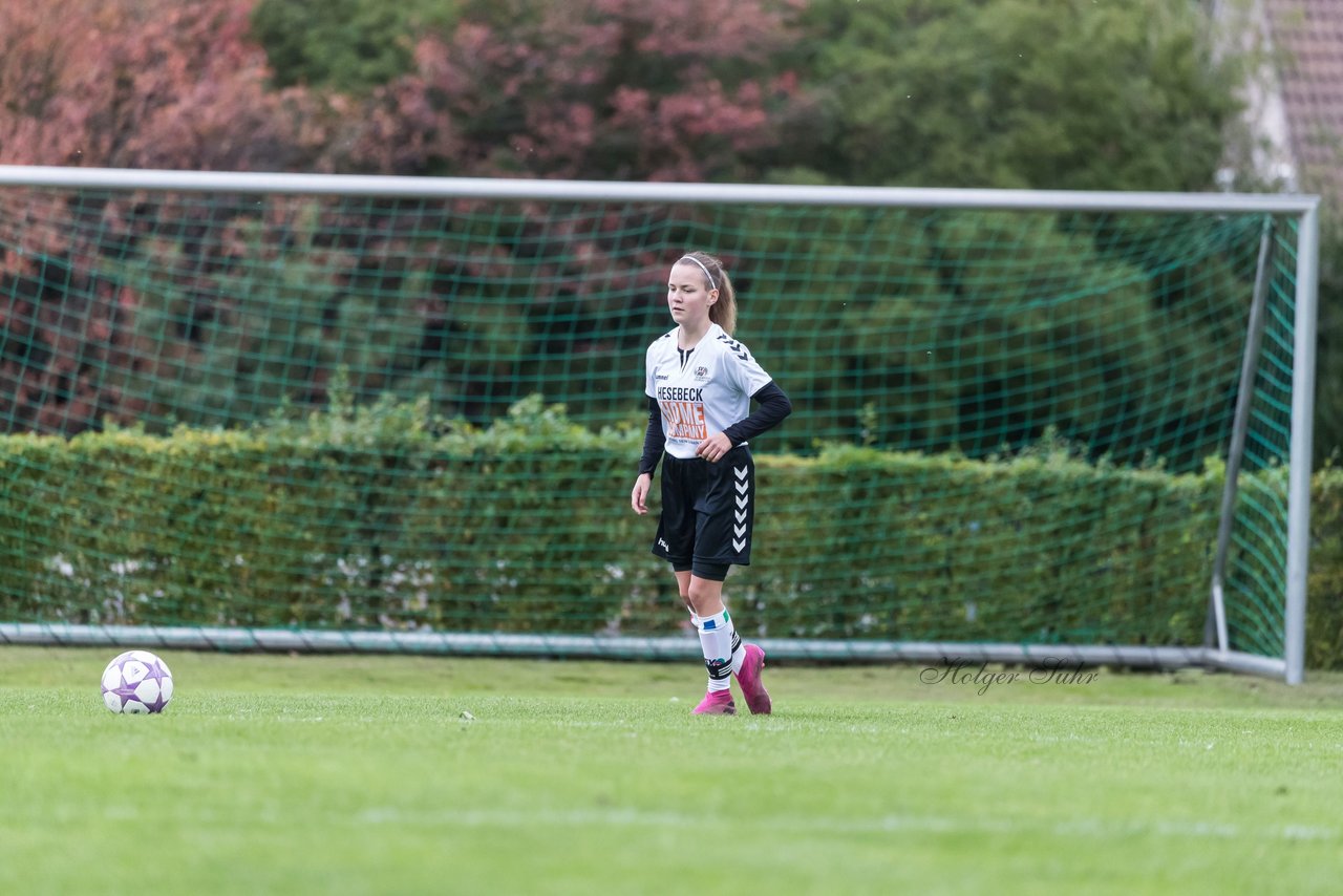 Bild 126 - B-Juniorinnen SV Henstedt Ulzburg - Hamburger SV : Ergebnis: 2:3